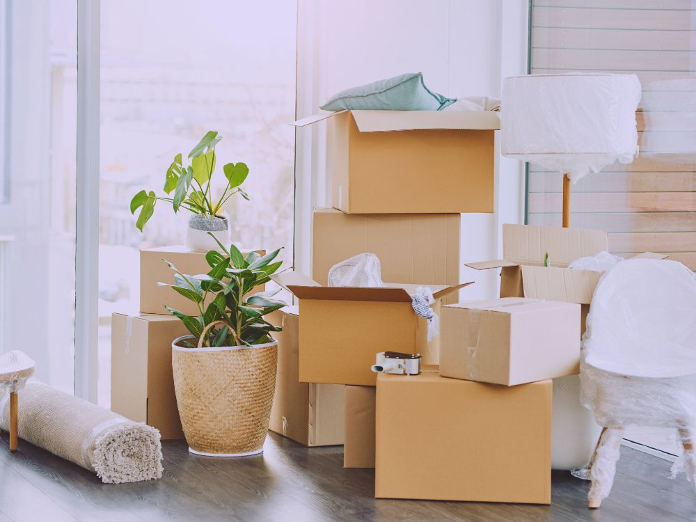 ¿Te mudas? Qué te conviene más: pack de descanso o solo colchón