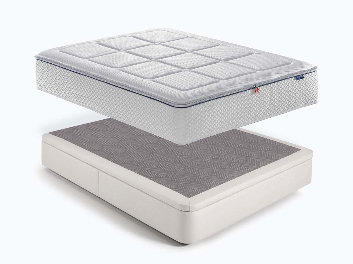 Pack Dual Pro Yulan Prime